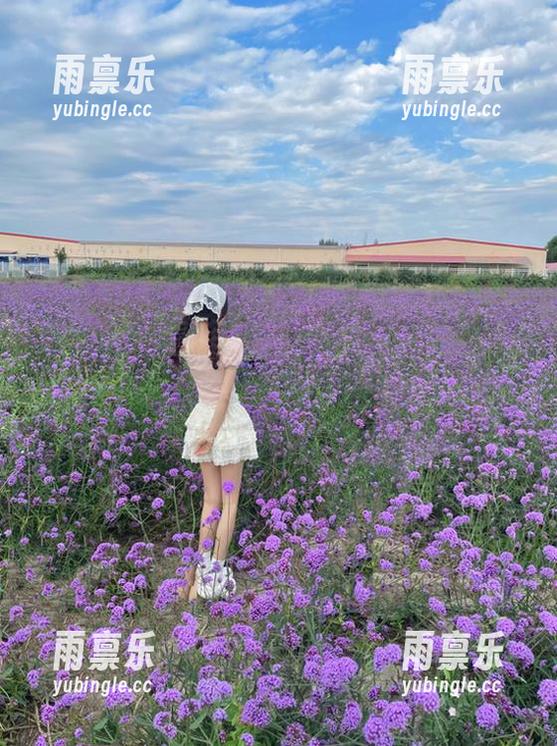51吃瓜 “51吃瓜cgfun”app——当瓜越来越甜,离不开我这快速的手指!