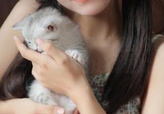 911吃瓜苹果版的内容展示了一个岛屿上的沙滩派对