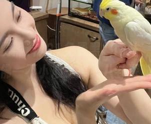 91免费黑料网站，真心觉得仿佛一不小心就掉入八卦深渊了！