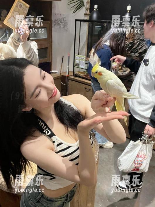 91免费黑料网站，真心觉得仿佛一不小心就掉入八卦深渊了！