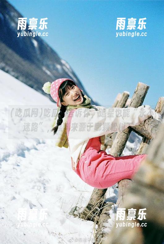 吃瓜网 吃瓜网告诉你,追星也能“永不迷路”,黑料来源于哪颗松树下!