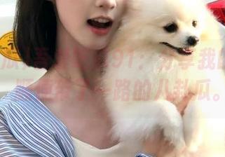 吾爱吃瓜91：分享我的回家路，顺便带了一路的八卦瓜。