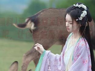 追星追到无聊？来下载‘明星黑料’吧，让你的追星旅程再添乎点花样！