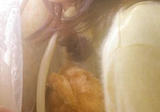所有人都在说的瓜，黑料吃瓜网站苹果版一键获取！